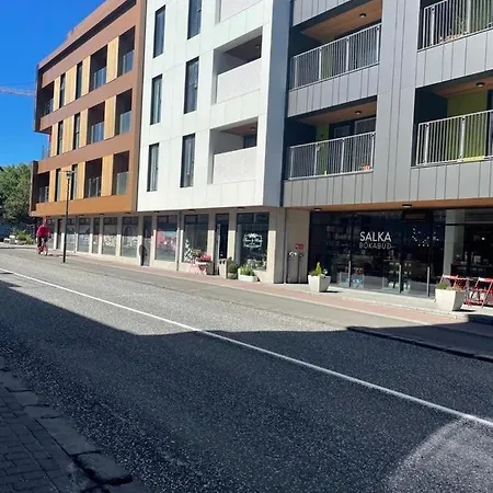 Fabulous Penthouse With Parking. * Reykjavik